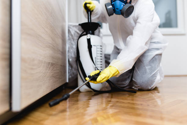 Best Pest Control Near Me  in Rossville, MD