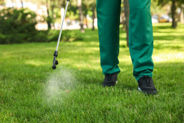 Best Mosquito Control Services  in Rossville, MD