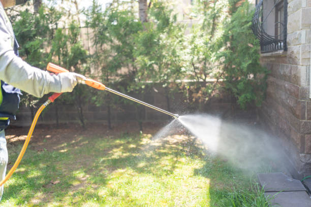 Flea Control Services in Rossville, MD