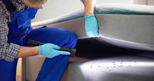 Best Bed Bug Extermination  in Rossville, MD