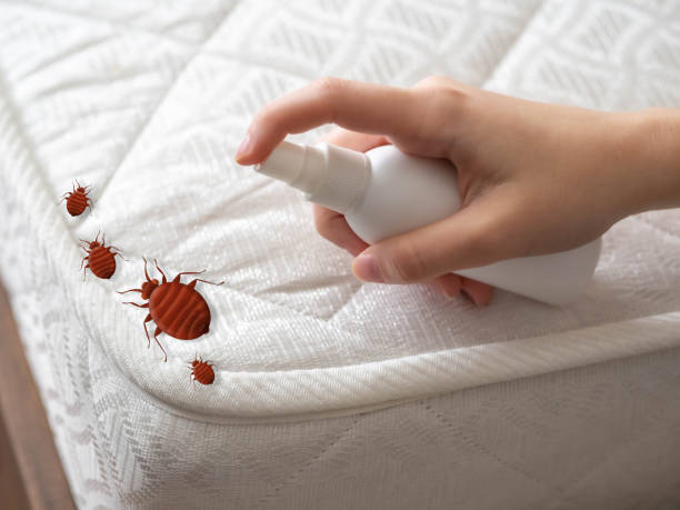 Best Pest Inspection Near Me  in Rossville, MD