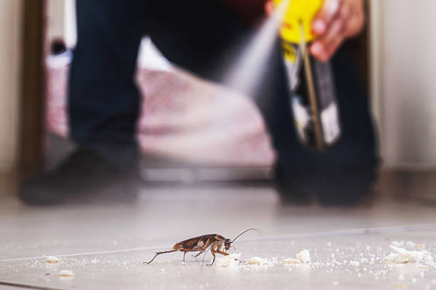 Best Best Pest Control Companies  in Rossville, MD