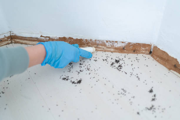 Wildlife Control Services in Rossville, MD