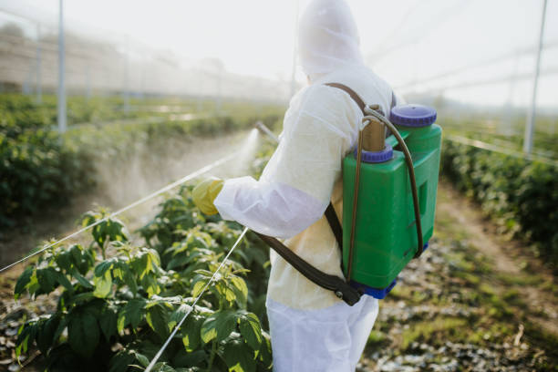 Best Ant Control Services  in Rossville, MD